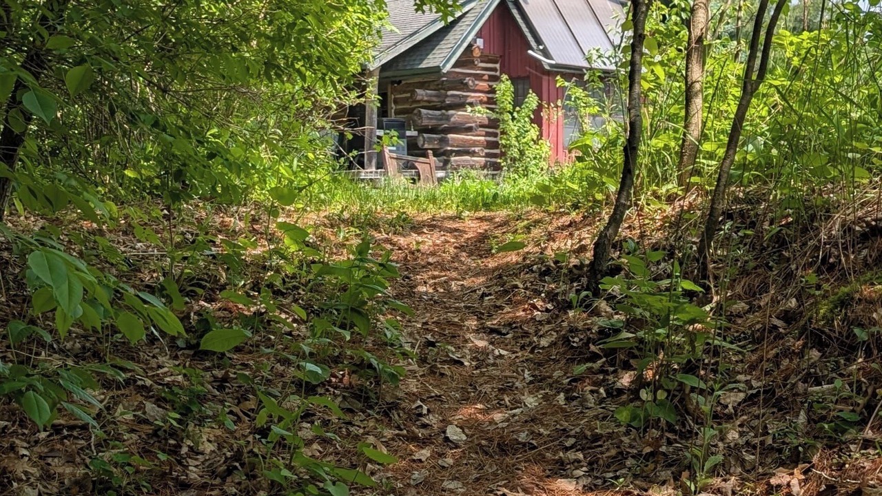 Photo of Outdoor in Amherst