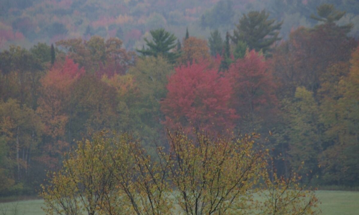 Photo of Others in Amherst