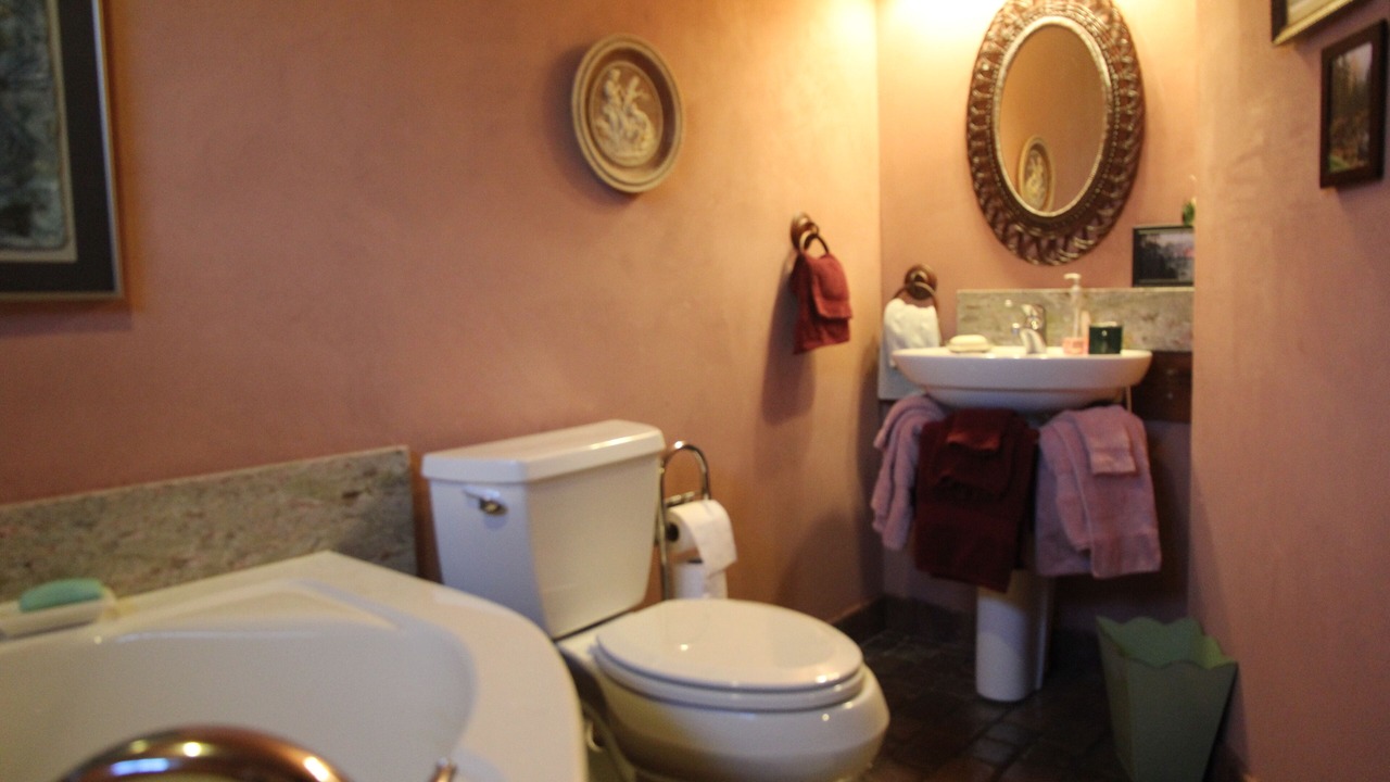 Photo of Others in Amherst