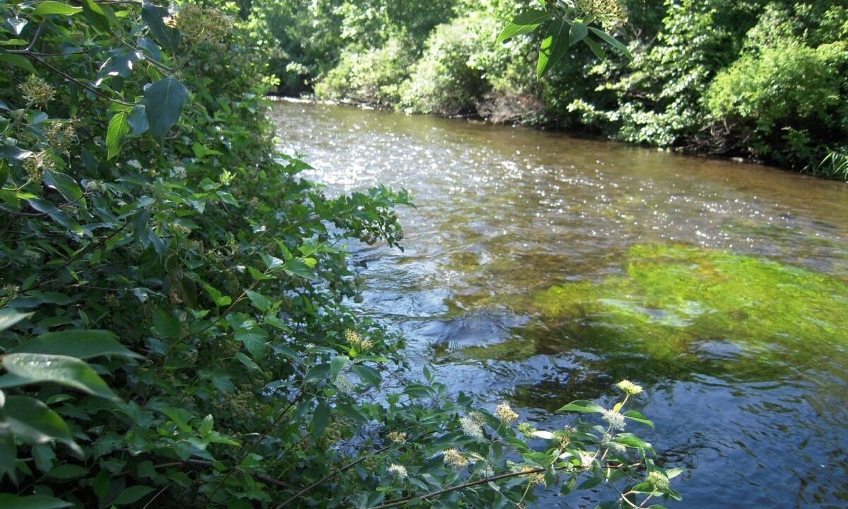 Photo of Others in Amherst