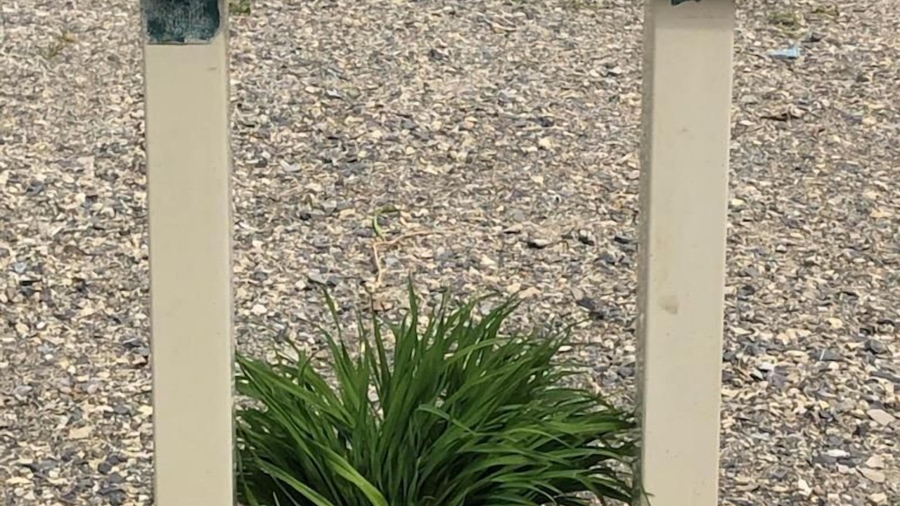 Photo of Outdoor in Gaines