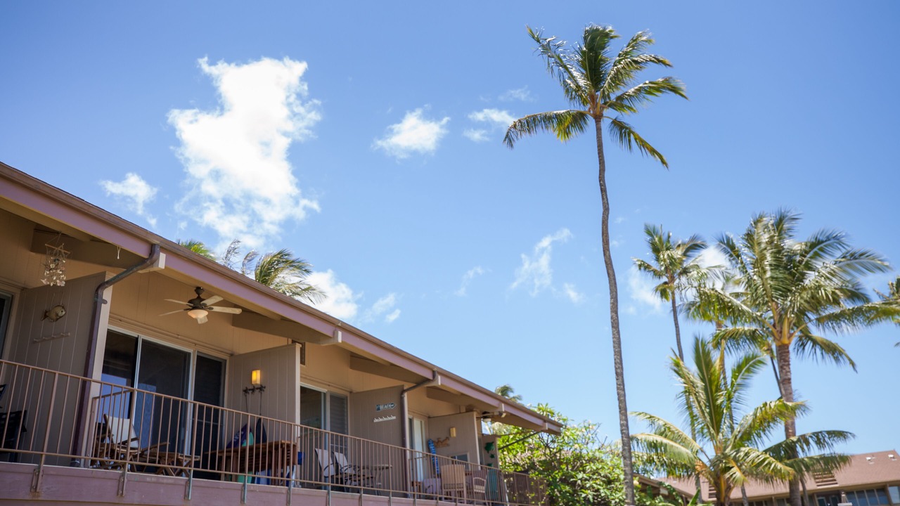 Photo of Outdoor in Honokowai