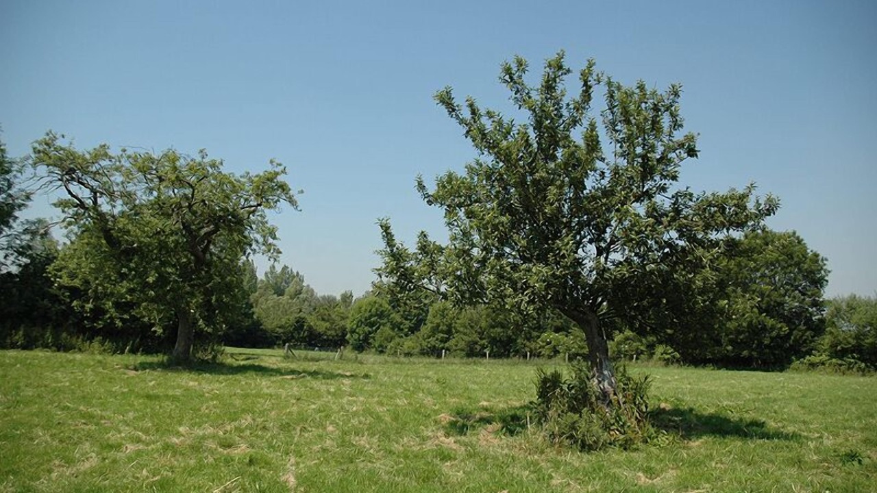 Photo of Others in Audrehem