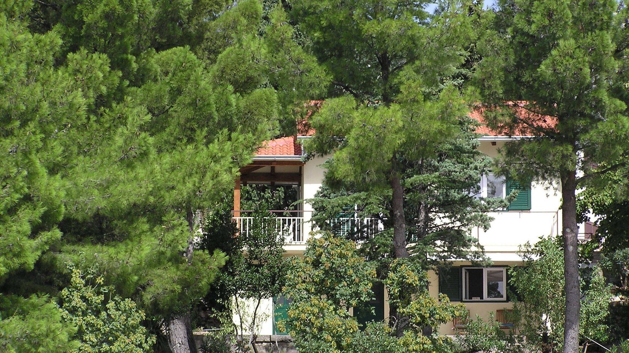 Photo of Outdoor in Starigrad