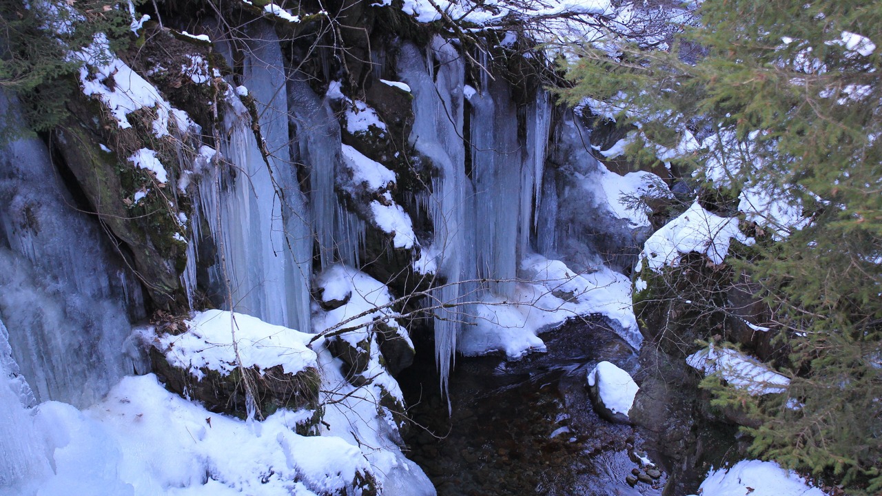Photo of Outdoor in Wassen