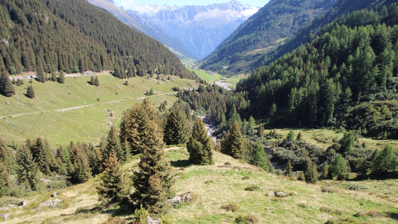 Photo of Outdoor in Wassen