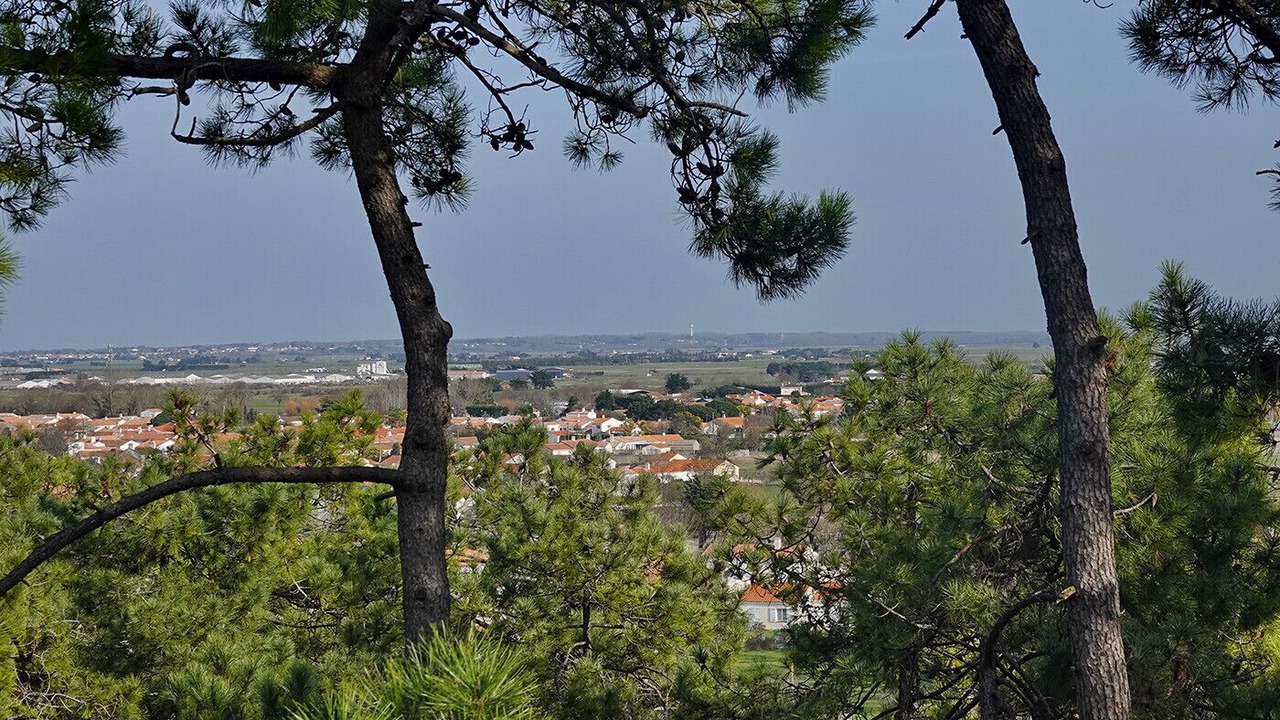 Photo of Others in Saint-Hilaire-de-Riez