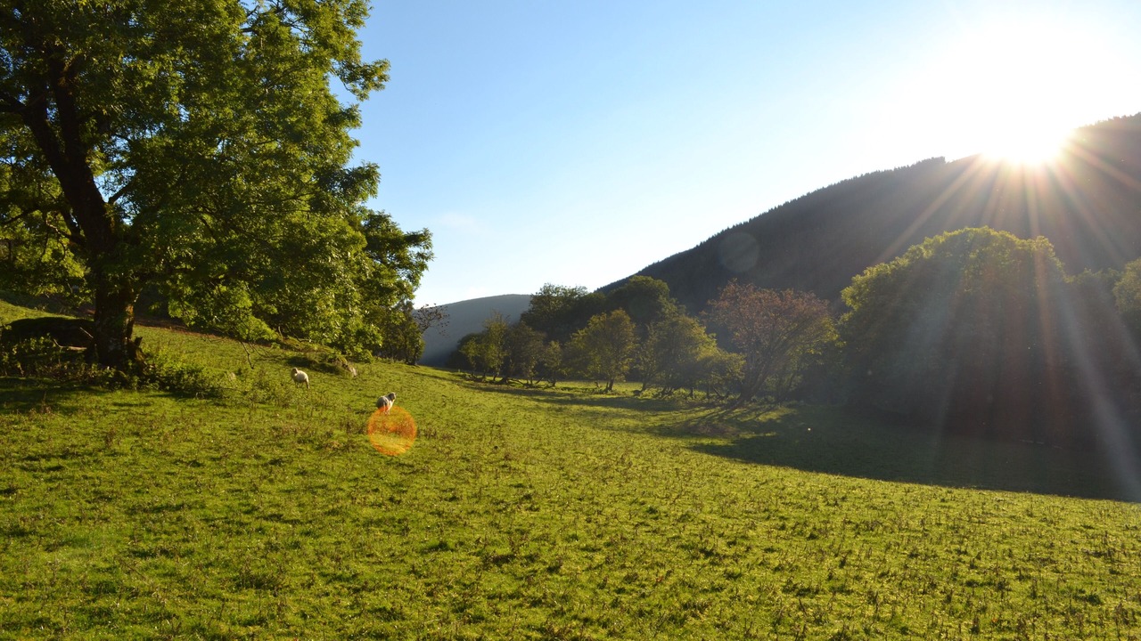 Photo of Outdoor in Bala