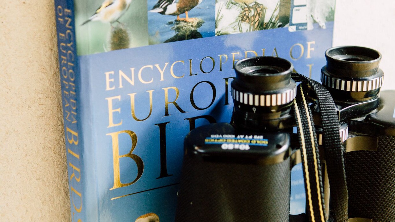 Photo of Kitchen in Bala