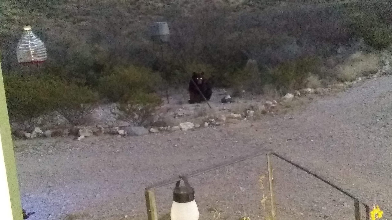 Photo of Outdoor in Brewster County