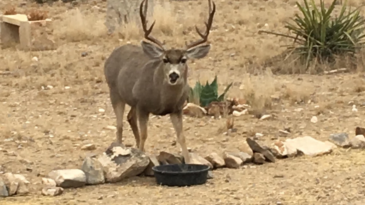 Photo of Outdoor in Brewster County