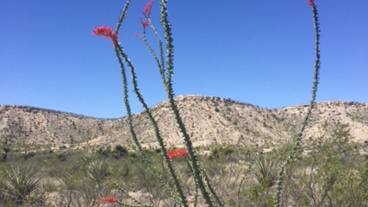 Photo of Others in Brewster County