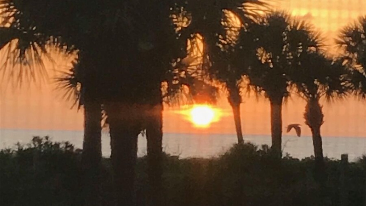 Photo of Others in Captiva