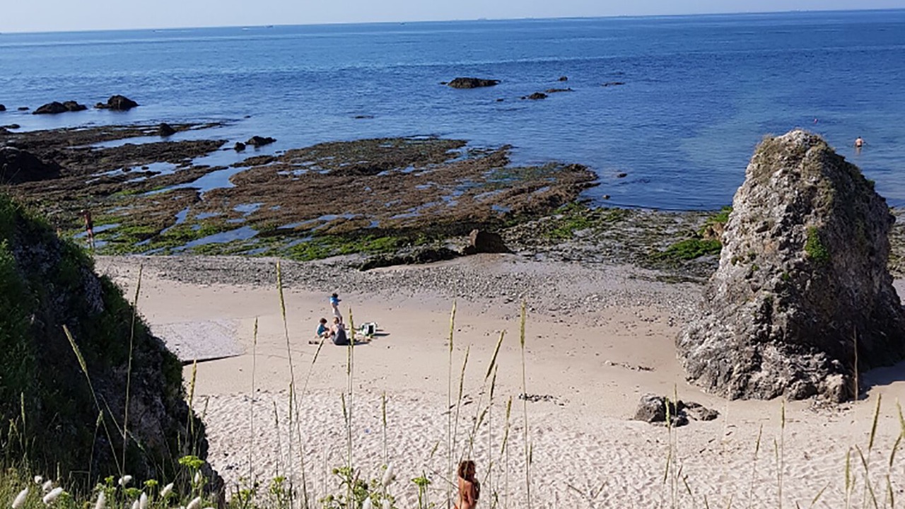 Photo of Others in Le Pouliguen