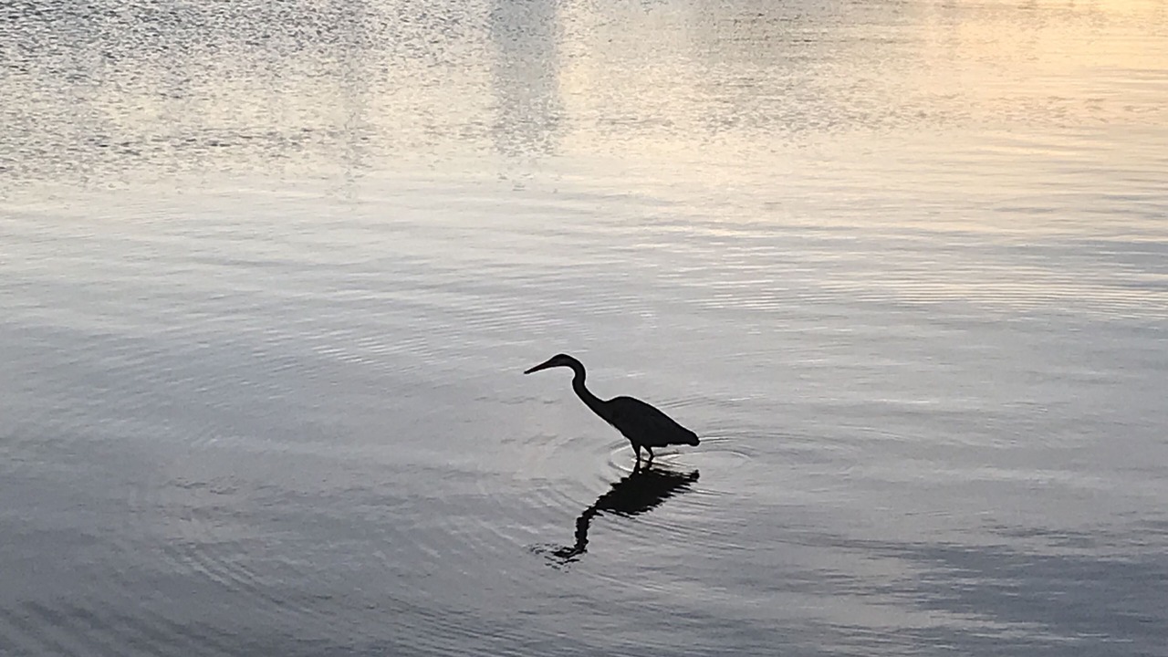 Photo of Others in Lower Grand Lagoon