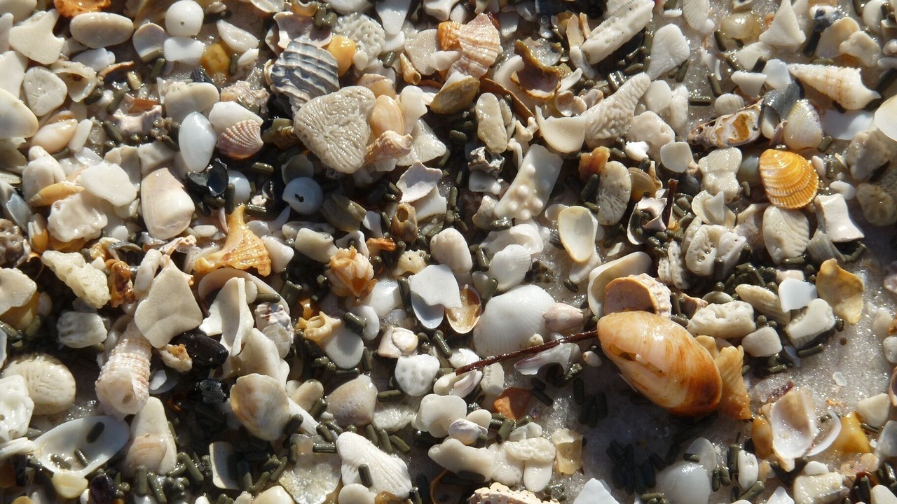 Photo of Others in Lower Grand Lagoon