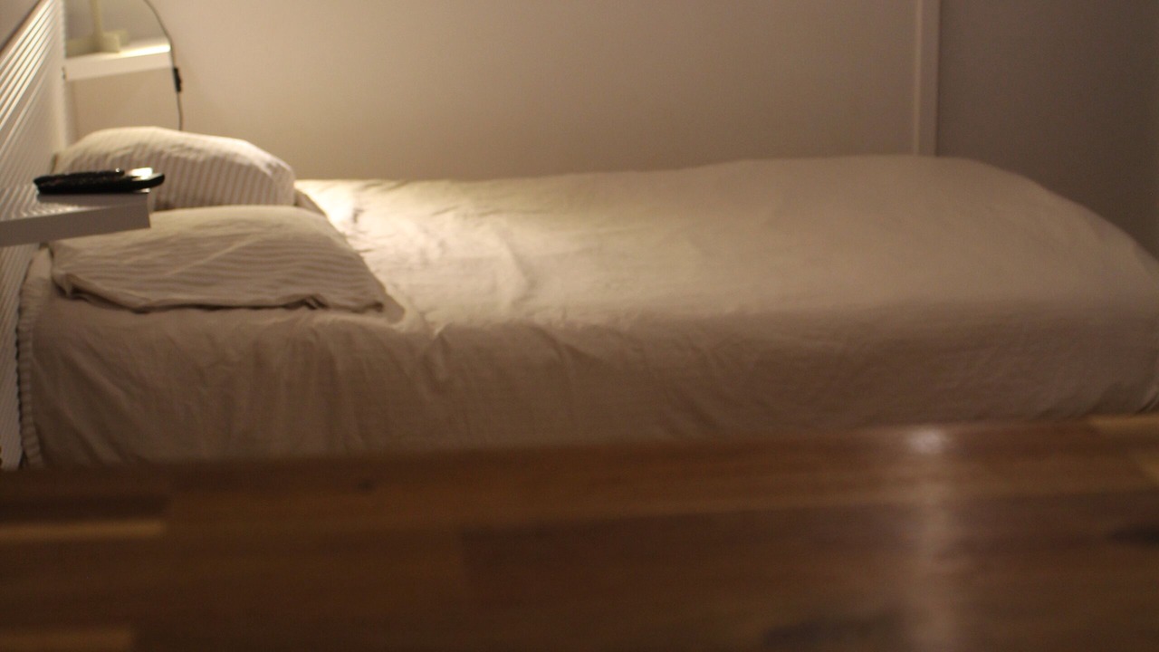 Photo of Bedroom in Voreppe