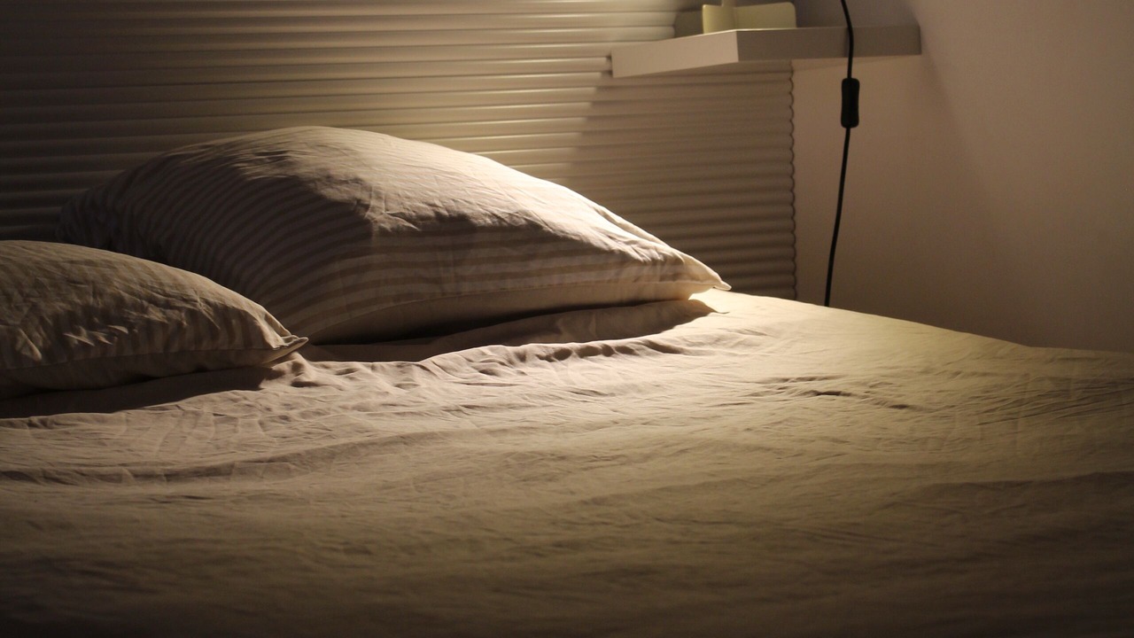 Photo of Bedroom in Voreppe
