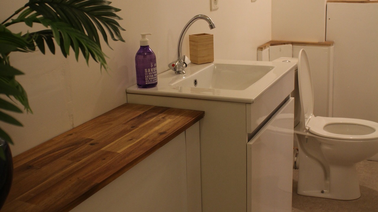 Photo of Bathroom in Voreppe