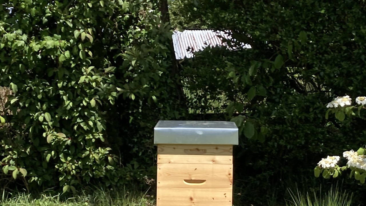 Photo of Outdoor in Plescop