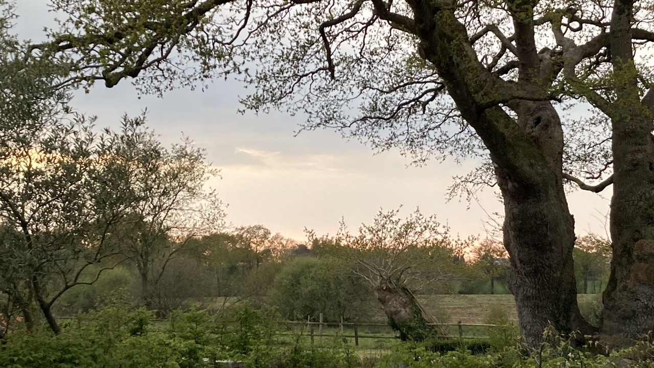 Photo of Outdoor in Plescop