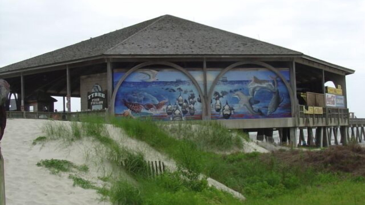Photo of Others in Savannah Beach