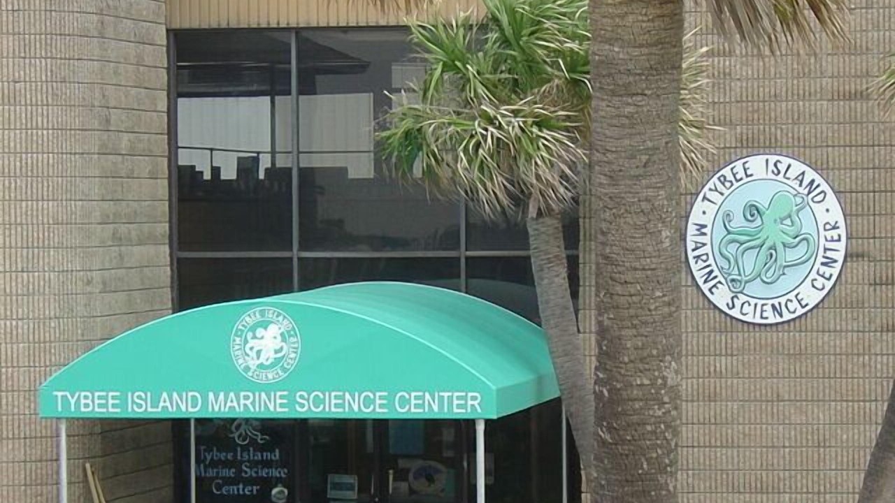 Photo of Others in Savannah Beach
