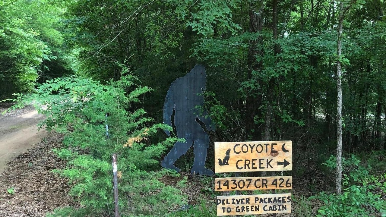 Photo of Outdoor in Lindale