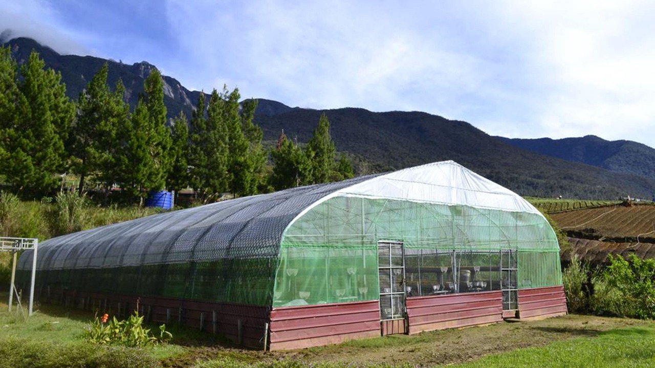 Photo of Outdoor in Poring