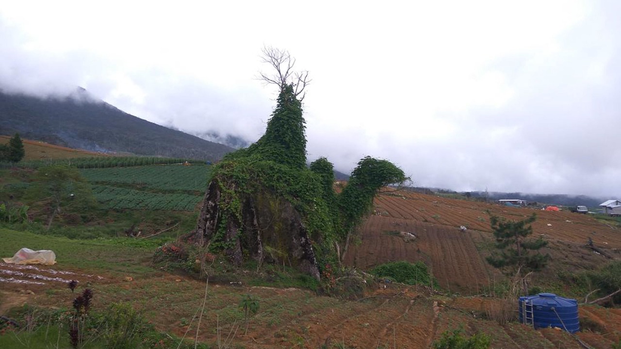 Photo of Outdoor in Poring