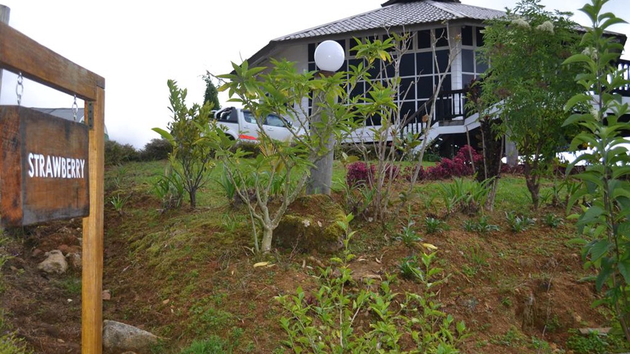 Photo of Patio Balcony in Poring