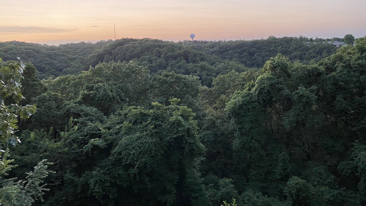 Photo of Outdoor in Notch Estates