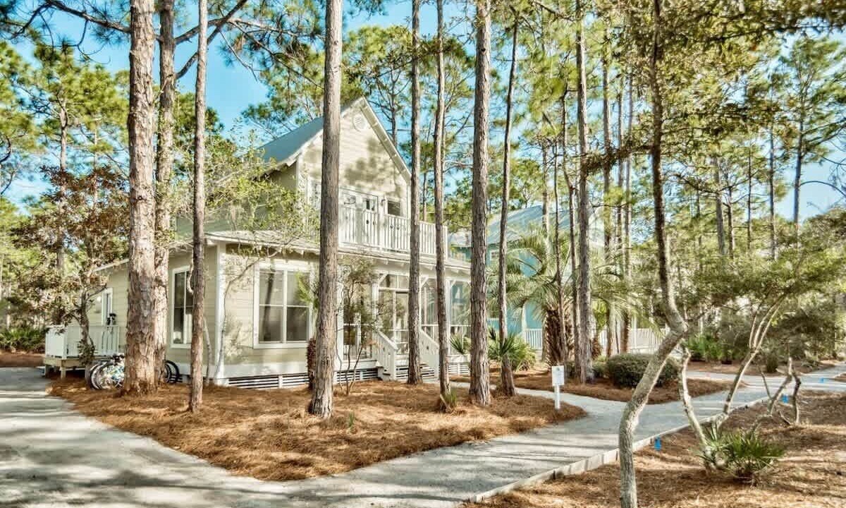 Photo of Outdoor in Seagrove Beach