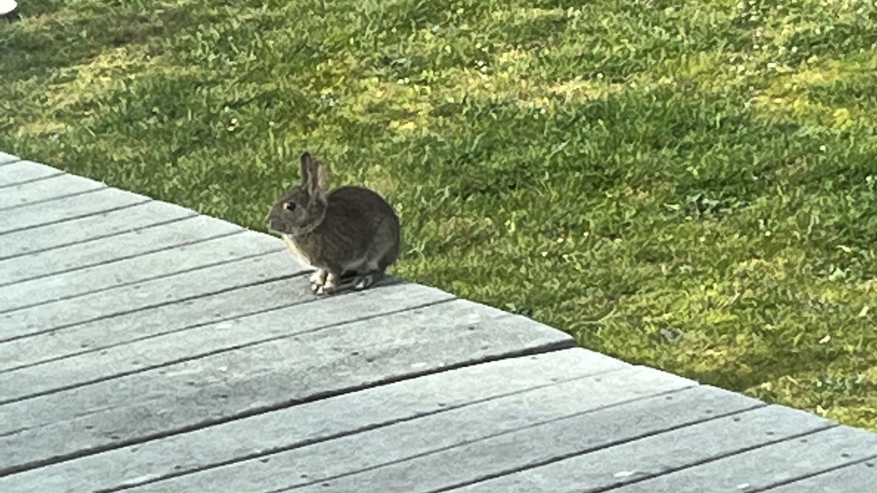 Photo of Outdoor in Tierra Del Mar