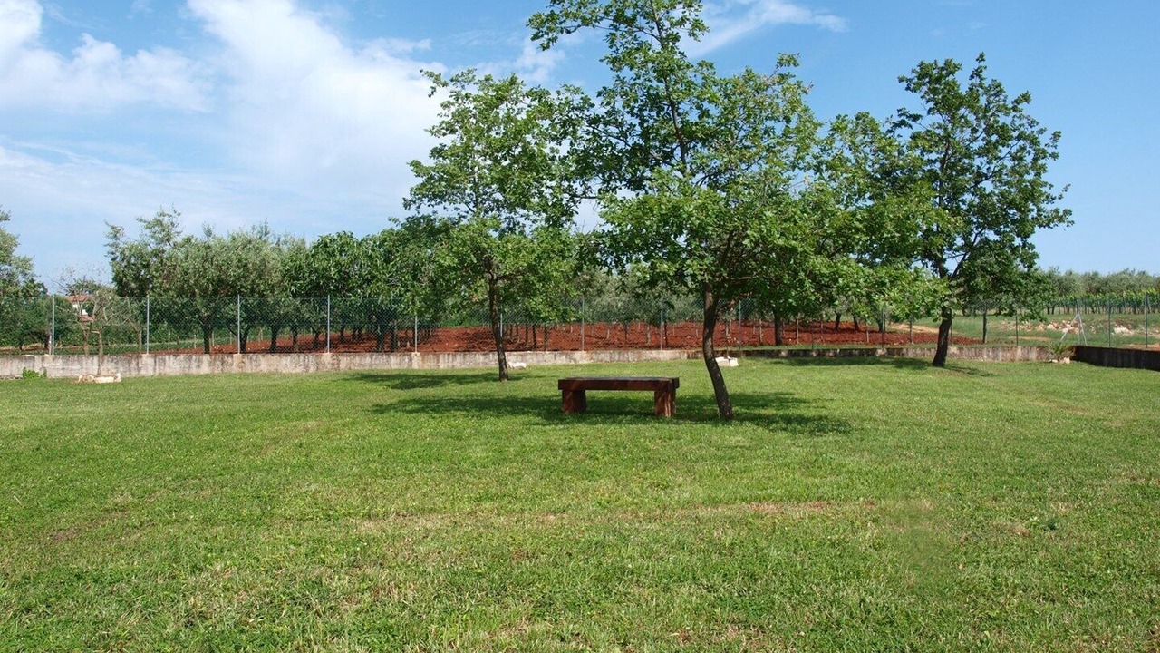 Photo of Outdoor in Gedici