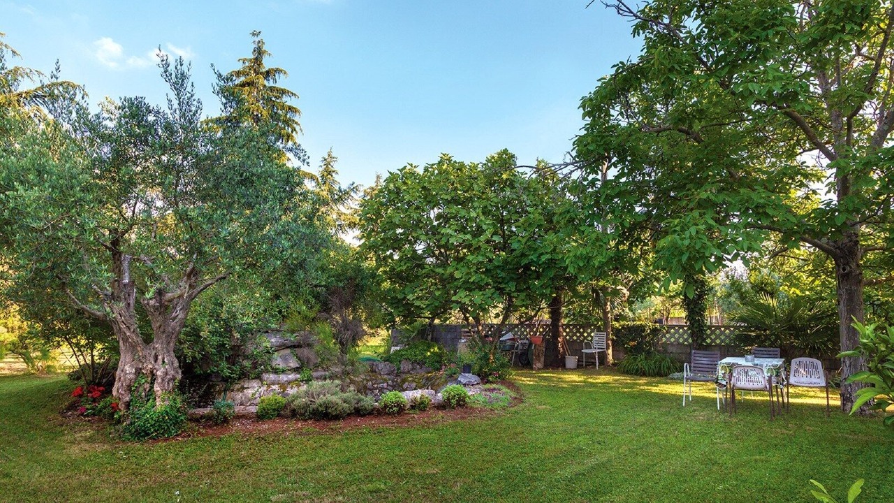 Photo of Outdoor in Spadici