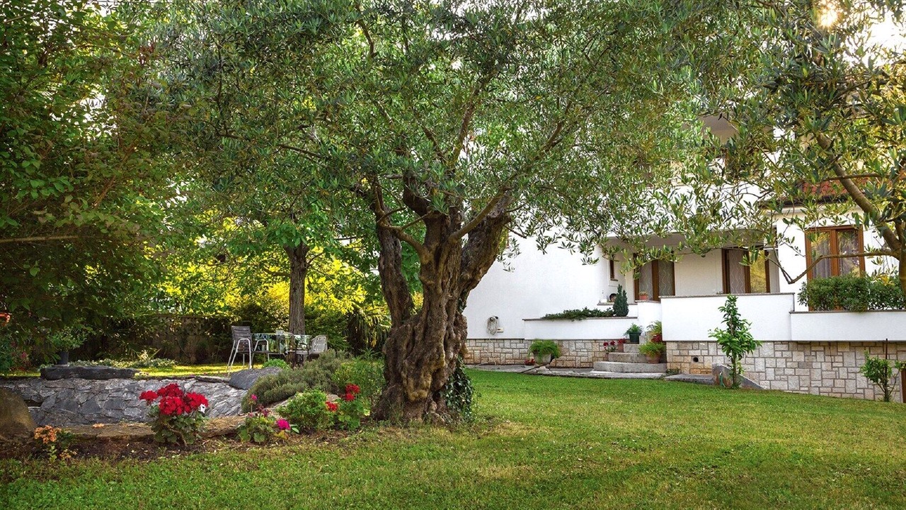 Photo of Outdoor in Spadici