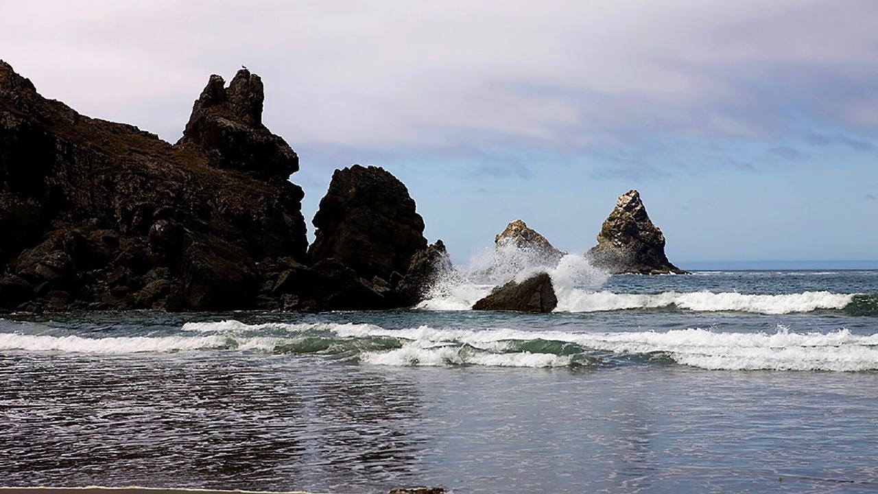 Photo of Others in Crescent City North