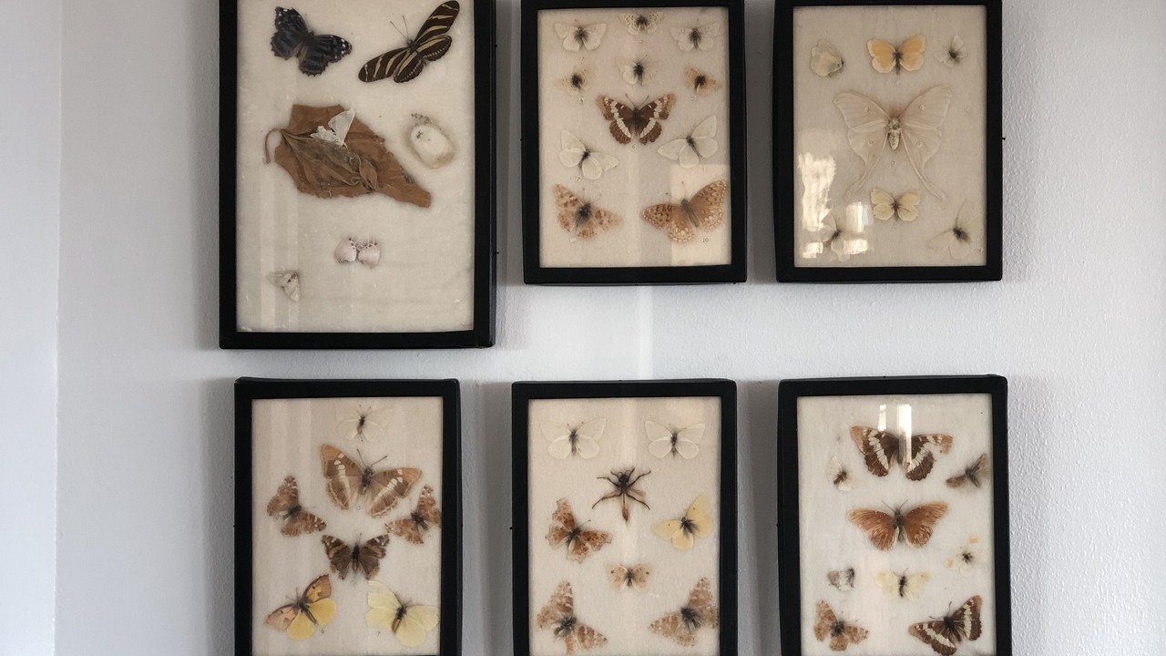 Photo of Others in Crescent City North