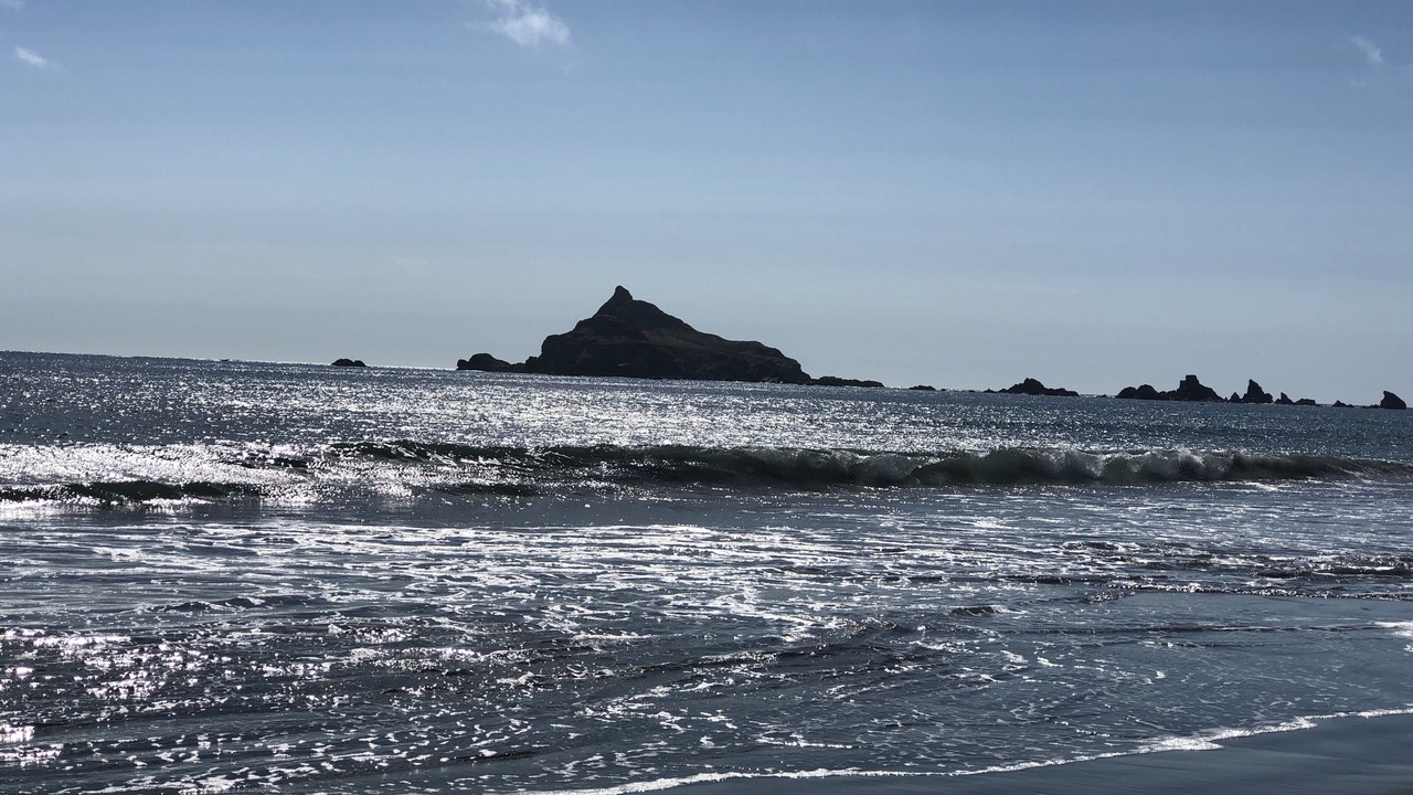 Photo of Others in Crescent City North