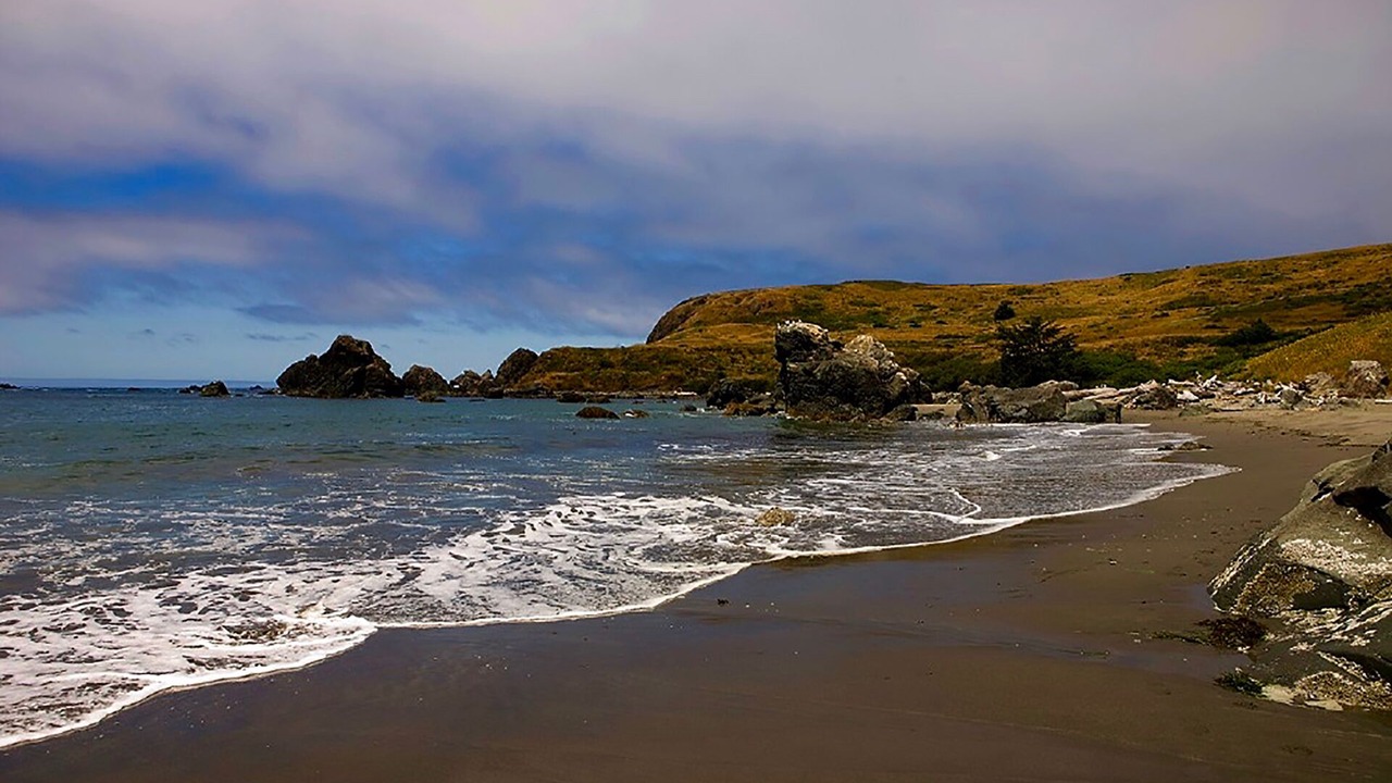 Photo of Others in Crescent City North