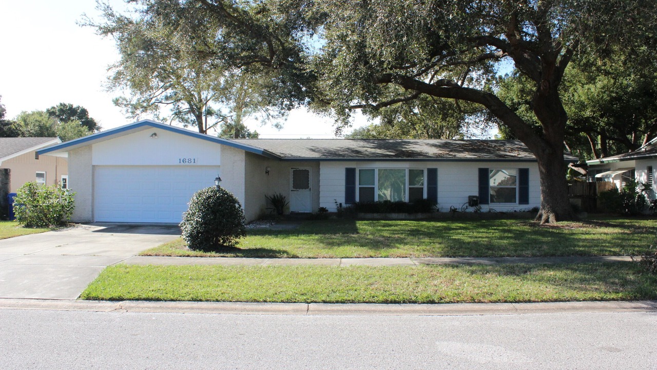 Photo of Outdoor in Clearwater