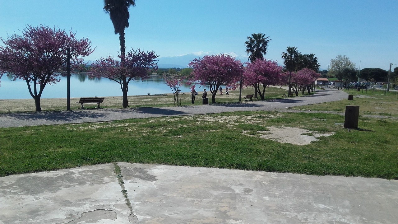 Photo of Outdoor in Villeneuve-de-la-Raho