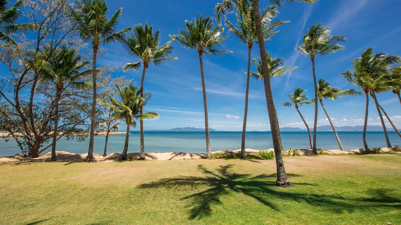 Photo of Others in Nelly Bay