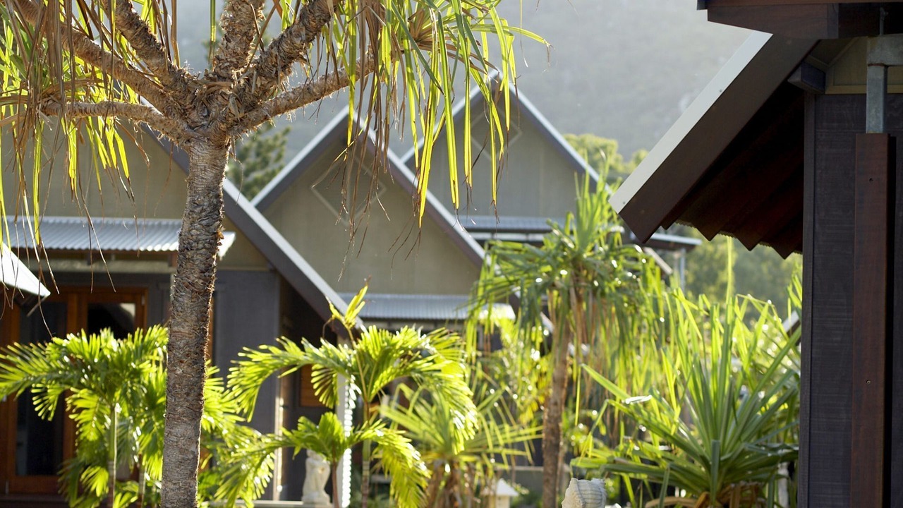 Photo of Outdoor in Nelly Bay