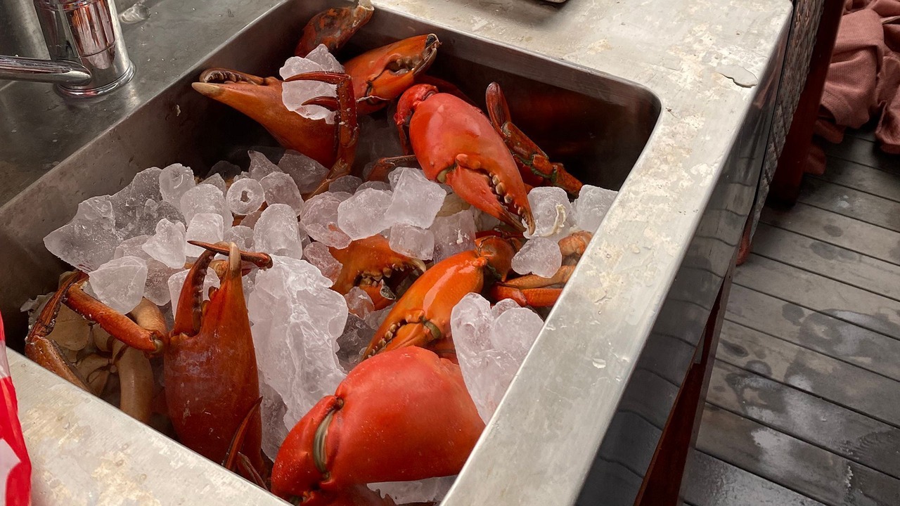 Photo of Others in Picnic Bay