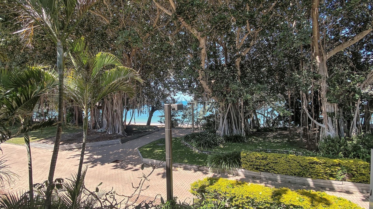 Photo of Outdoor in Picnic Bay