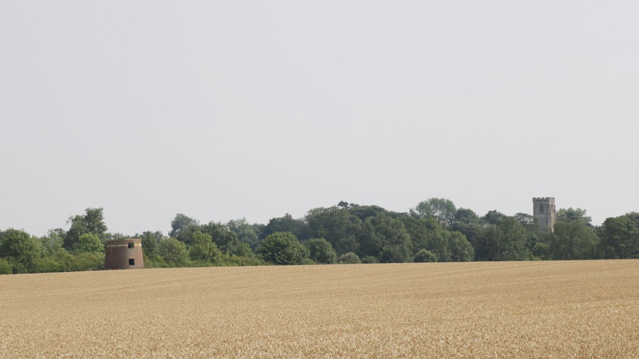 Photo of Others in North Dalton