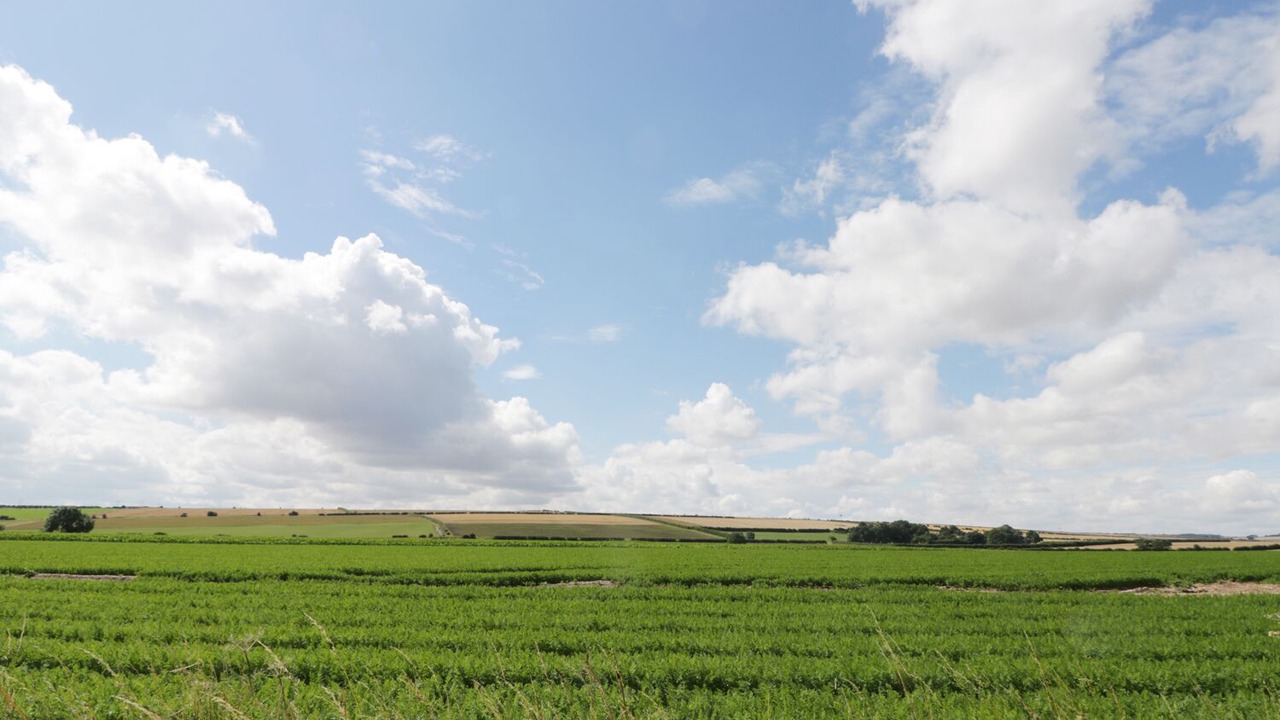 Photo of Others in North Dalton