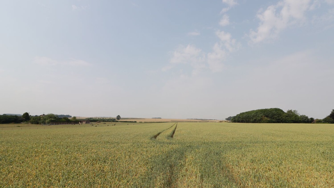 Photo of Others in North Dalton